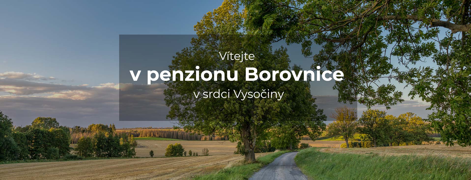 title_6935eca1043af873078161765141665