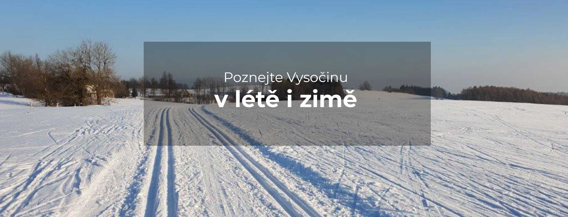 title_6935eca1043c29374135571765141665